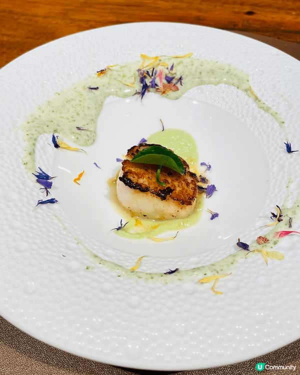 位於北角寶馬道🔸三分熟·菊至🔸