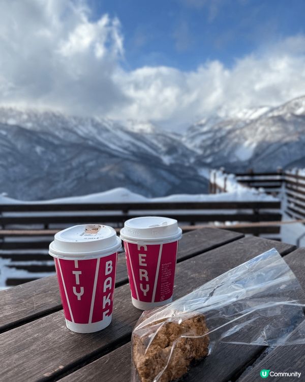 地獄谷野猿公園。這地方真是個超特別的景點，因為你能夠看到那些...