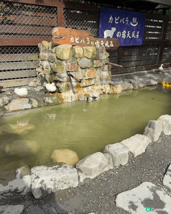 上年年尾去了台灣宜蘭礁溪，其中去了一個農莊是叫張美阿嬤農場，...