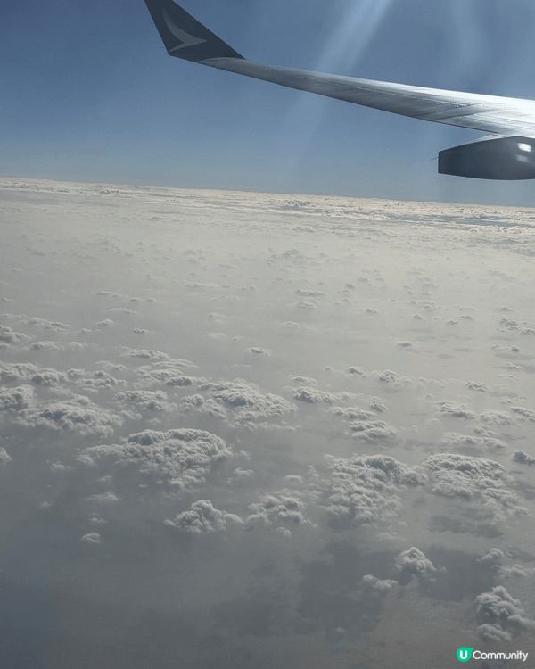 2025年1月中首次與家人一起到曼谷旅行。好好玩，好多首次，...