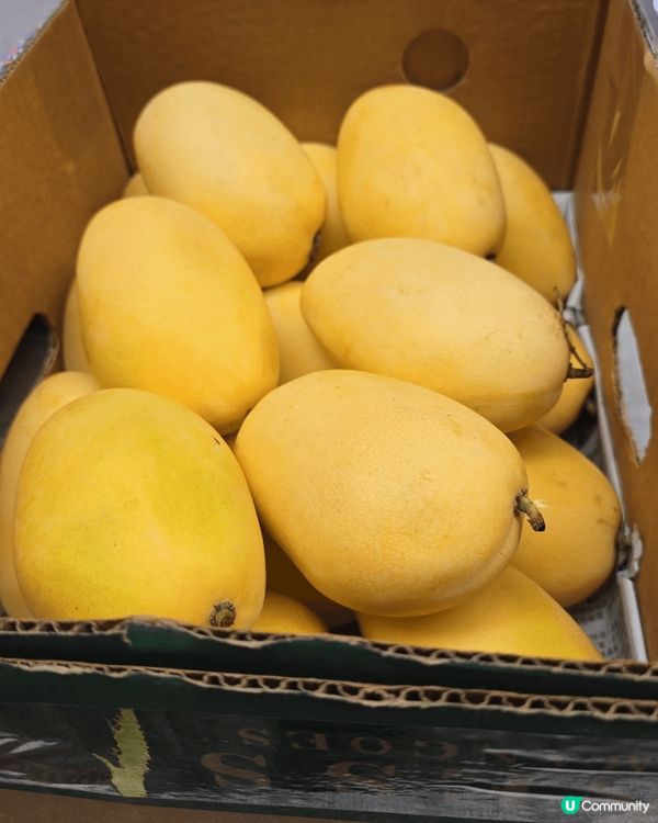 3月好味的生果,有我喜愛嘅桃駁梨,蜜柑,呂宋芒果及士多啤梨！...