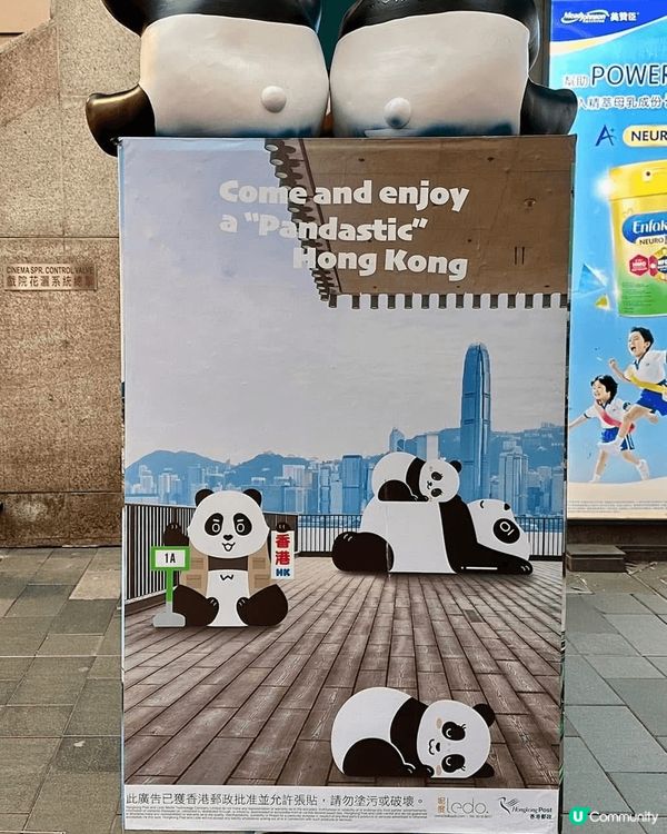 路經到銅鑼灣，竟然見到幾個熊貓龍鳳胎郵箱的足跡！超級可愛！唔...