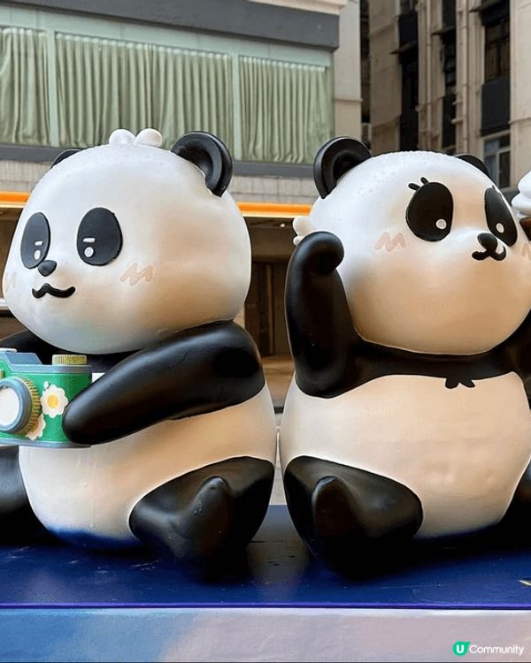 路經到銅鑼灣，竟然見到幾個熊貓龍鳳胎郵箱的足跡！超級可愛！唔...