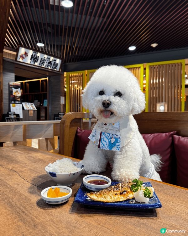 這間位於 megabox 的「櫸」是一間日式居酒屋。點了一個...