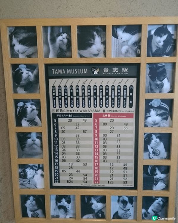 神明保佑，走過不一樣的地方，感受不同的世界