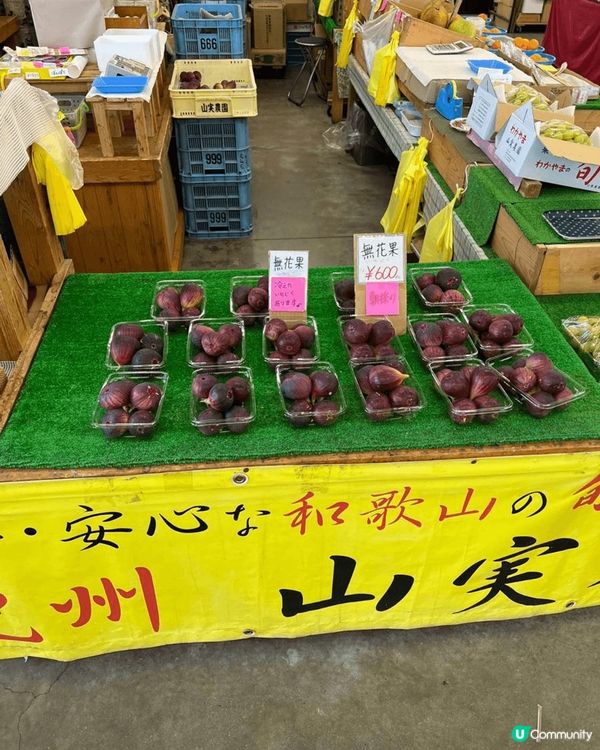 我最鍾意就係去日本食好西，點唔得閒都好，每年必去一次或以上，...