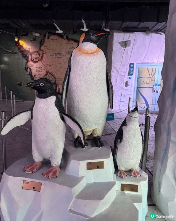 而家好多人不想消費，但係其實香港都有好多特色嘅地方打卡，不妨...