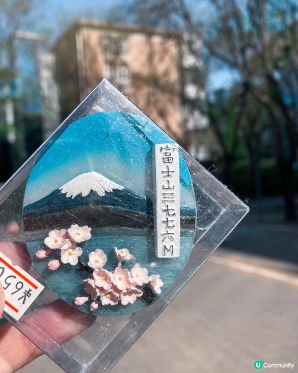 🇯🇵 日本旅行必買戰利品：冰箱貼！🤩