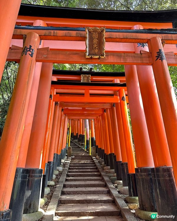 ## 京都之旅，打卡必去！⛩️🌸