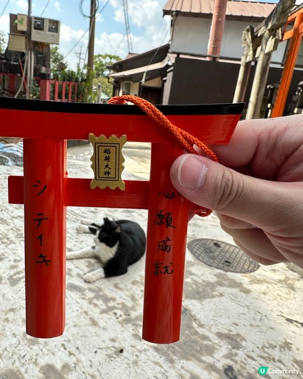 ## 京都之旅，打卡必去！⛩️🌸