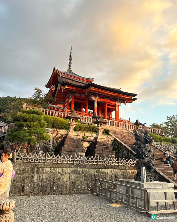 ## 京都之旅，打卡必去！⛩️🌸