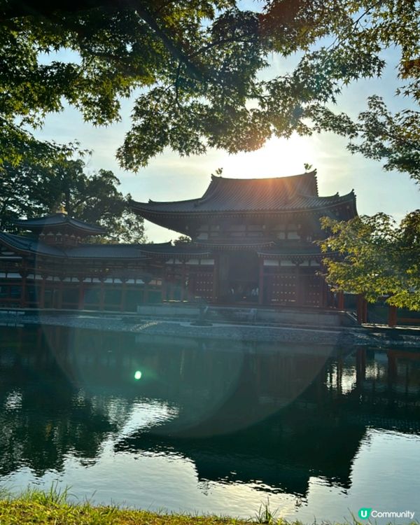 ## 京都之旅，打卡必去！⛩️🌸