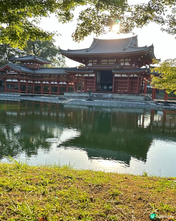 ## 京都之旅，打卡必去！⛩️🌸