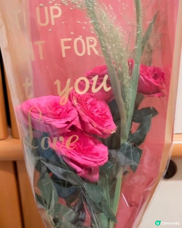 深圳荷蘭花卉小鎮🌸打卡勝地！