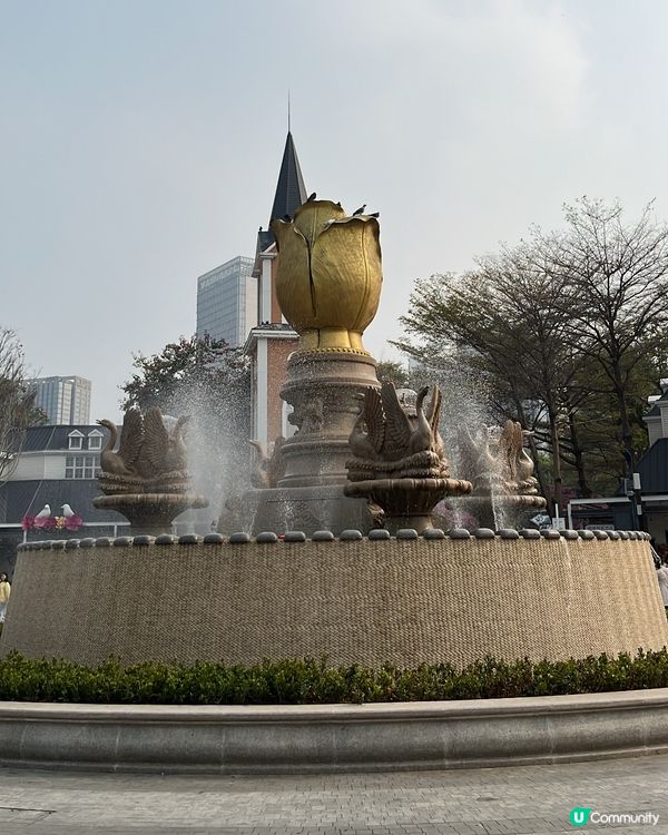 深圳荷蘭花卉小鎮🌸打卡勝地！