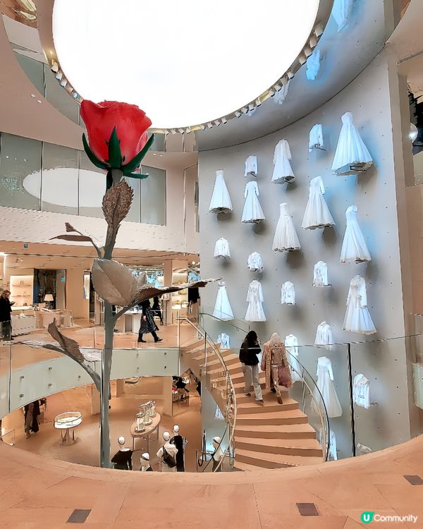  人氣浪漫Café Dior ♡Paris♡