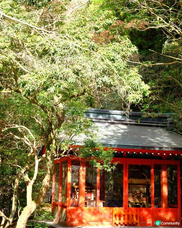箱根神社 & 水中鳥居 ✨ 神仙景致！