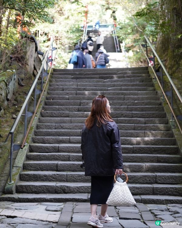 箱根神社 & 水中鳥居 ✨ 神仙景致！