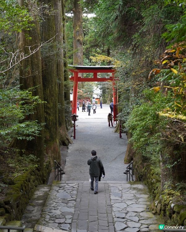 箱根神社 & 水中鳥居 ✨ 神仙景致！