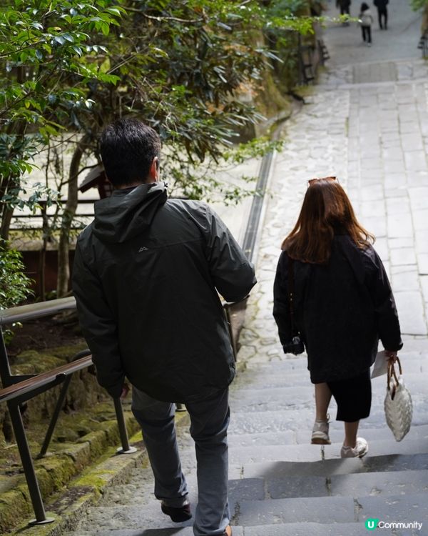 箱根神社 & 水中鳥居 ✨ 神仙景致！