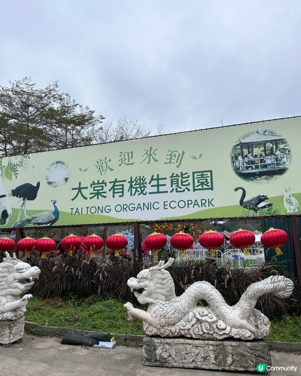 即摘即食士多啤梨🍓