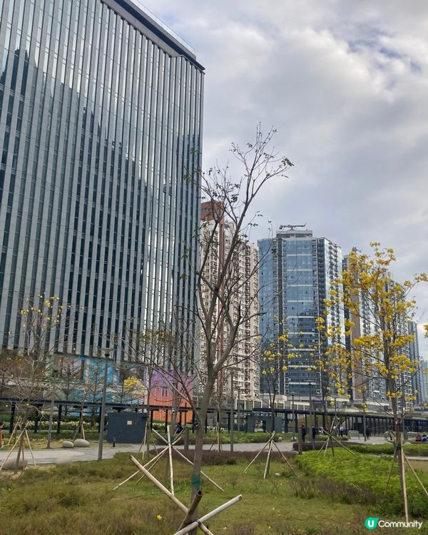 重啟飛翔的道路 啟德