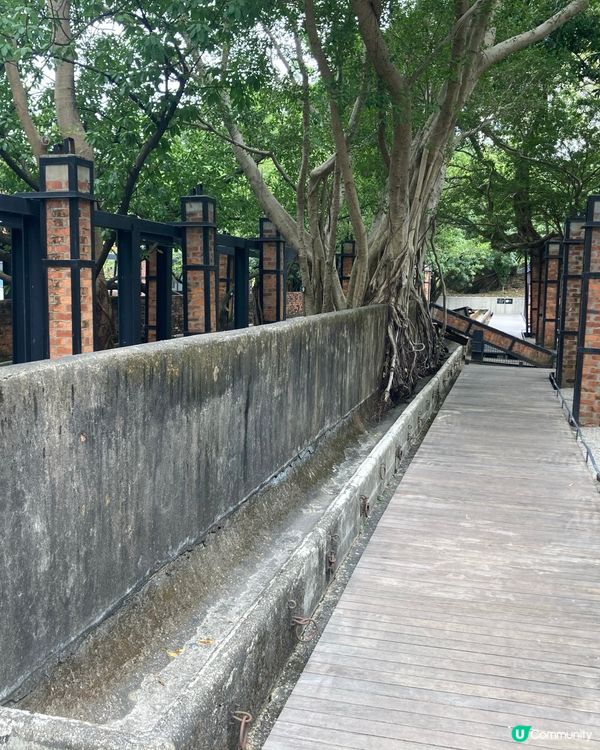 重啟飛翔的道路 啟德