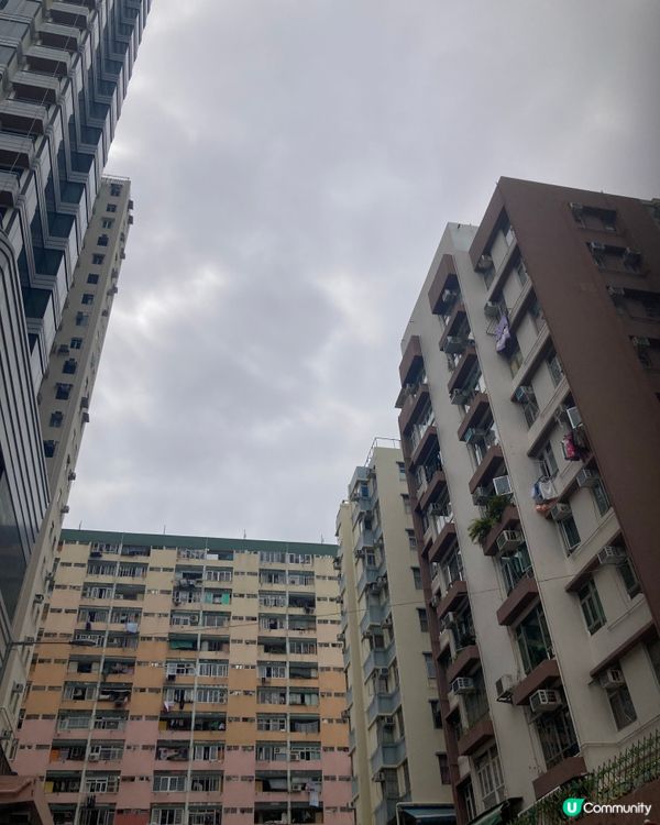 重啟飛翔的道路 啟德