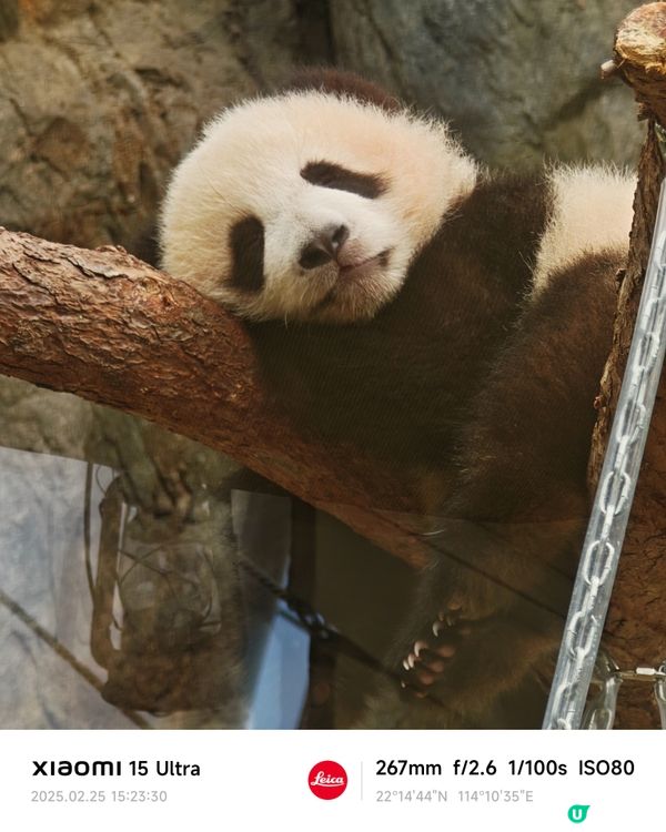 體驗海洋公園$1500門票與🐼家姐細佬