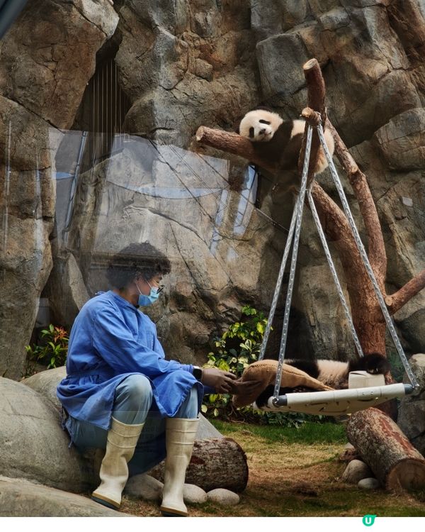 體驗海洋公園$1500門票與🐼家姐細佬