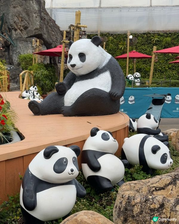 體驗海洋公園$1500門票與🐼家姐細佬