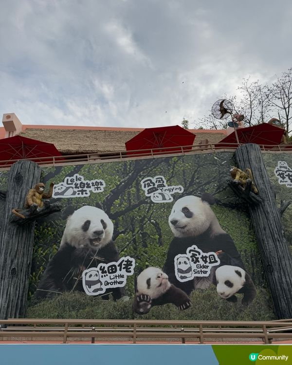 體驗海洋公園$1500門票與🐼家姐細佬