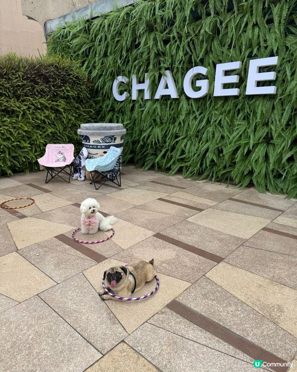 🐕🐾狗狗親子好去處👶🏻🍼