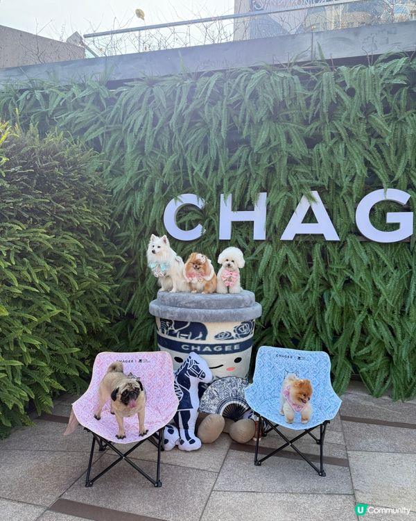 🐕🐾狗狗親子好去處👶🏻🍼