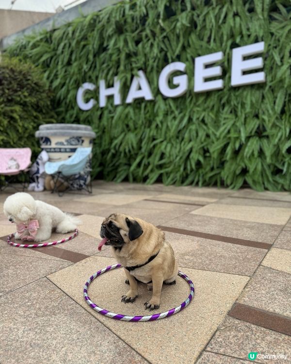 🐕🐾狗狗親子好去處👶🏻🍼