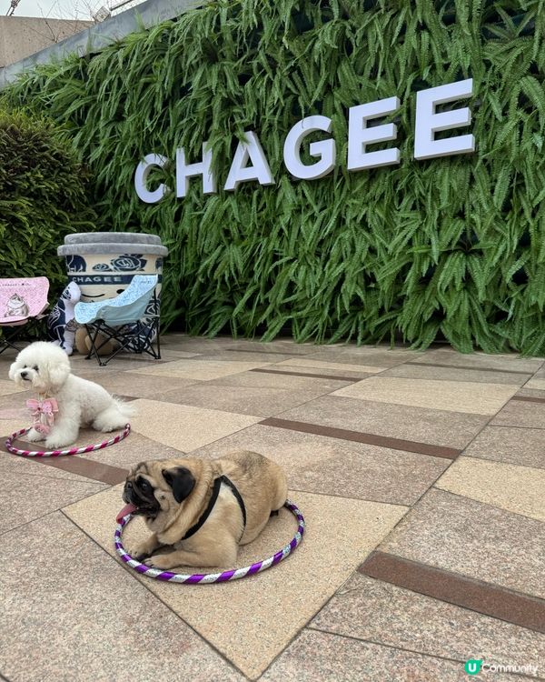 🐕🐾狗狗親子好去處👶🏻🍼