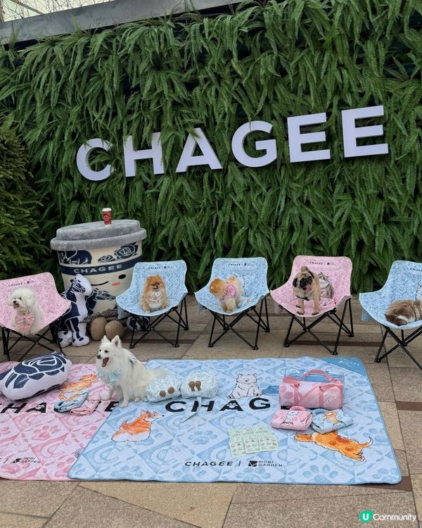 🐕🐾狗狗親子好去處👶🏻🍼