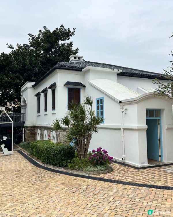 華富邨 步行 到 中環 的打卡熱點