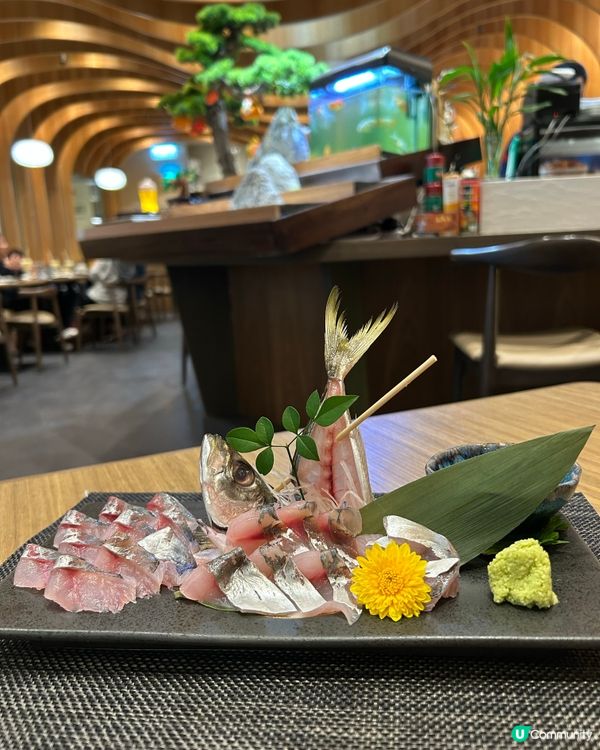 荃灣鳥山名🐟 鮮味刺身，地獄火鍋🔥