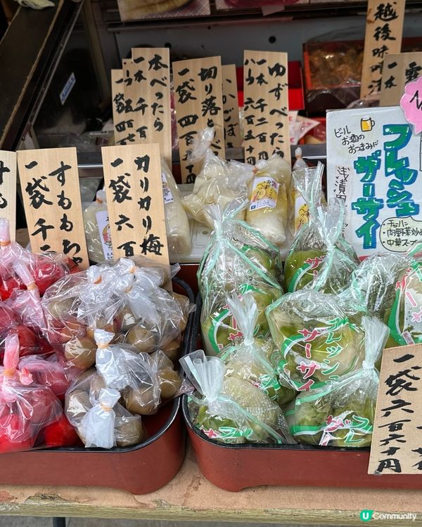 🇯🇵東京特色景點——「柴又車站」