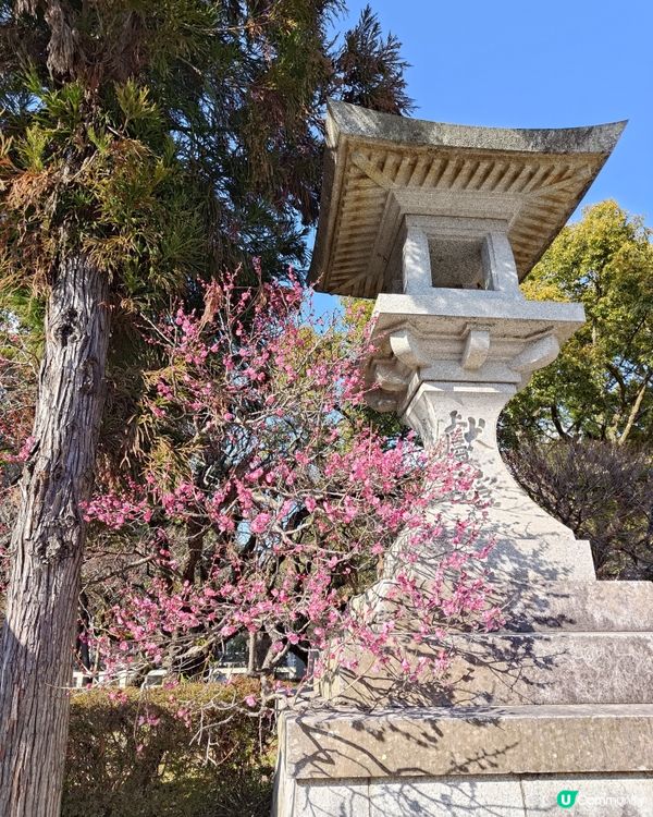 日本最美Starbucks？太宰府天滿宮木系限定分店