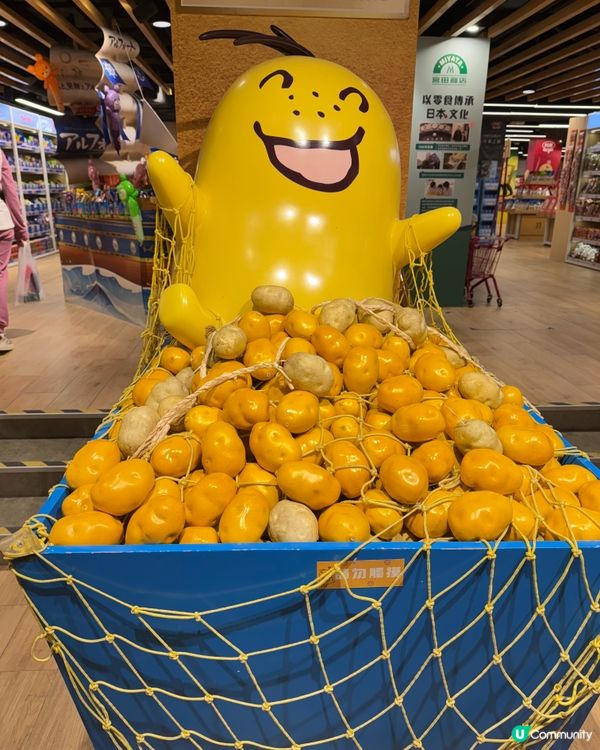 四洲食品體驗館🎊全新開幕！樓高兩層，玩樂不停！