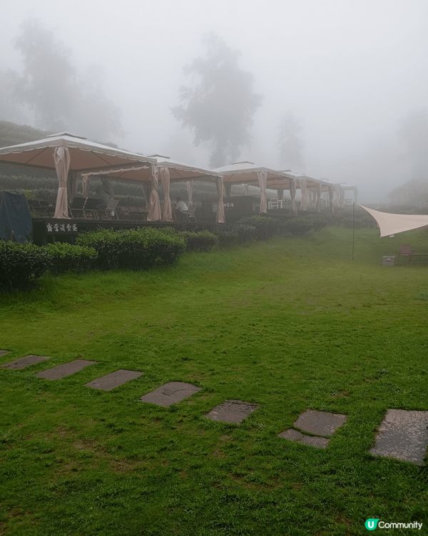 春季景色怡人,風景優美,綠草如茵,空氣清新,份外舒涼.