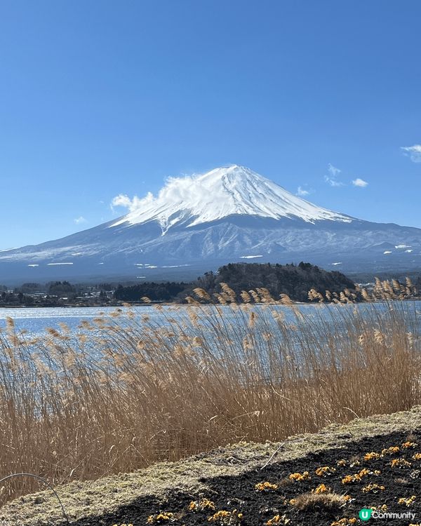 春天當然要去日本睇櫻花同富士山美景。天氣好配上剛剛開的花特別...