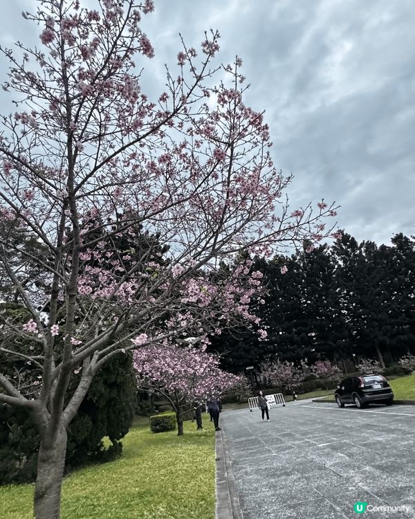 兩日一夜快閃台北，行程充實，簡單叉電之選！除了不停享受美食，...