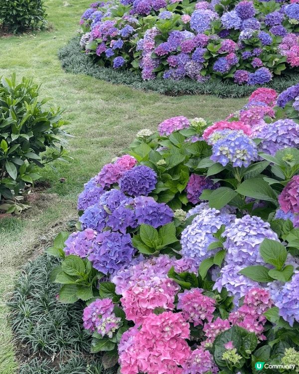 啟德體育館1/3正式新開幕 旁邊嘅零售館都好多商店可以逛 1...