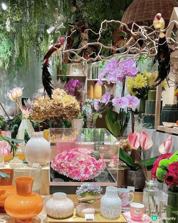 春回大地，花兒逐漸綻放美麗光芒，這間「Gary Kwok F...