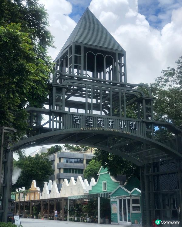 深圳荷蘭花卉小鎮cafe｜貓主子陪飲啡 vs 花海秘境下午茶