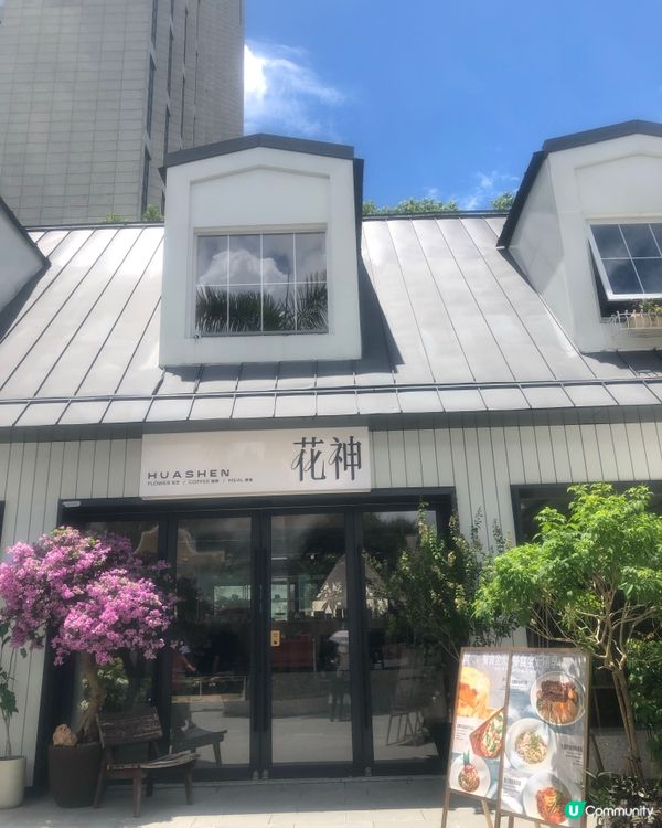 深圳荷蘭花卉小鎮cafe｜貓主子陪飲啡 vs 花海秘境下午茶