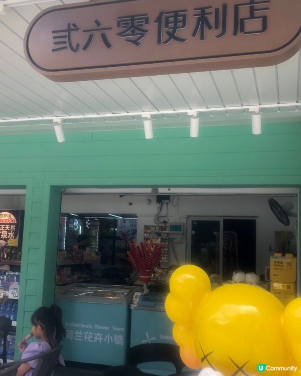 深圳荷蘭花卉小鎮cafe｜貓主子陪飲啡 vs 花海秘境下午茶